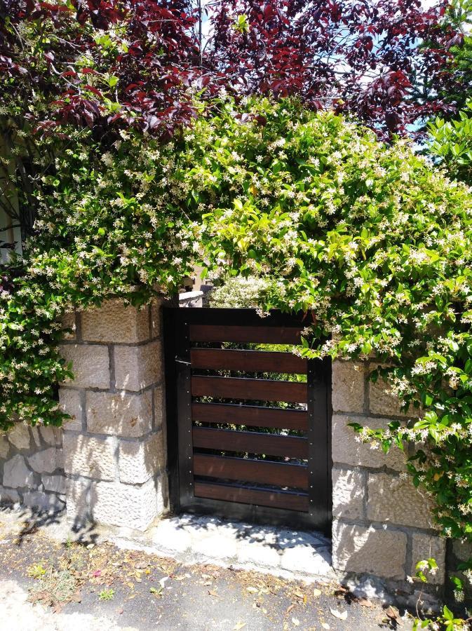 פולידרוסוס Dryas Guesthouse מראה חיצוני תמונה